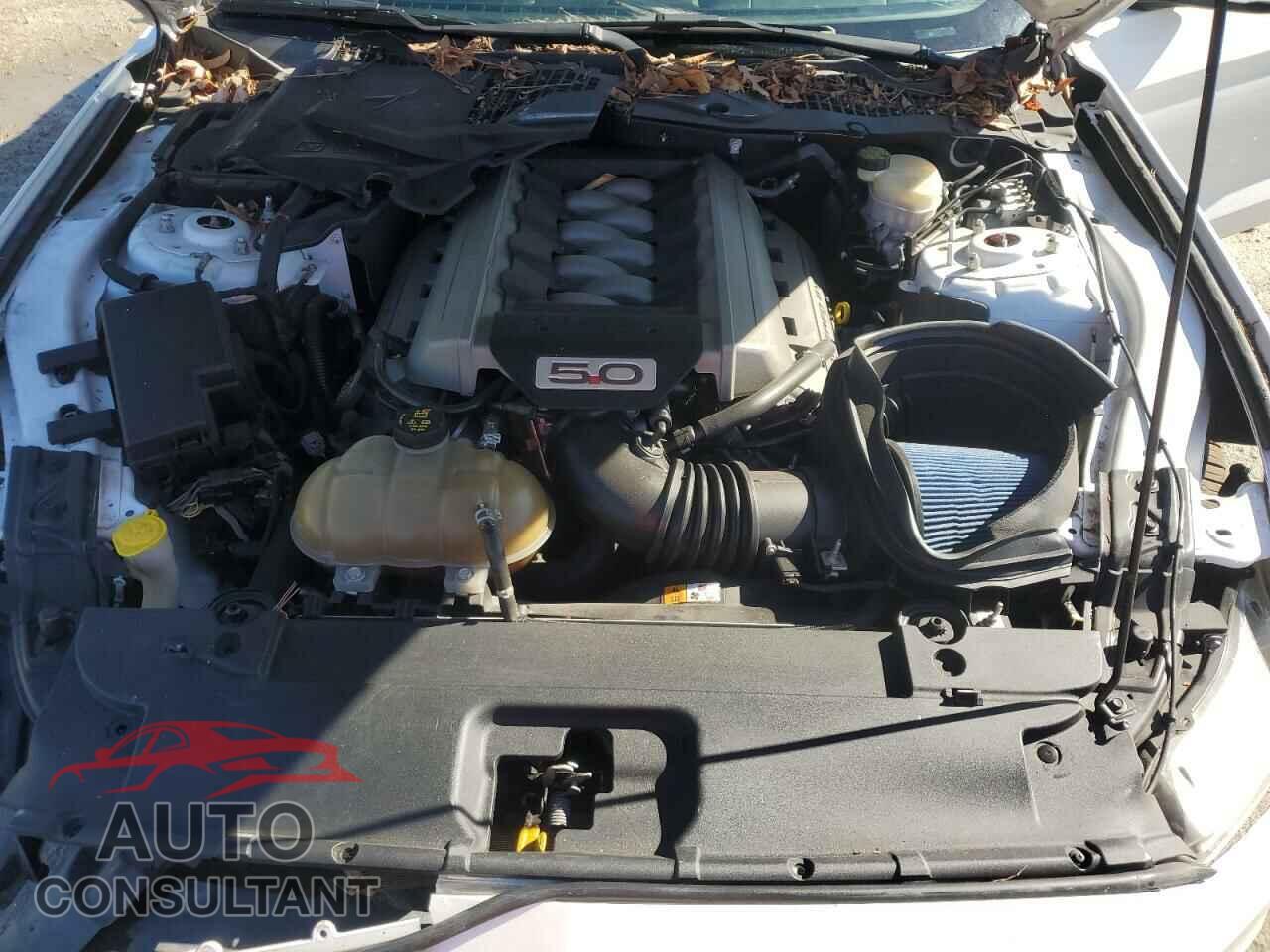 FORD MUSTANG 2015 - 1FA6P8CF9F5373513