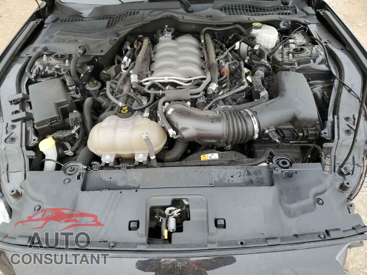 FORD MUSTANG 2018 - 1FA6P8CF8J5144295