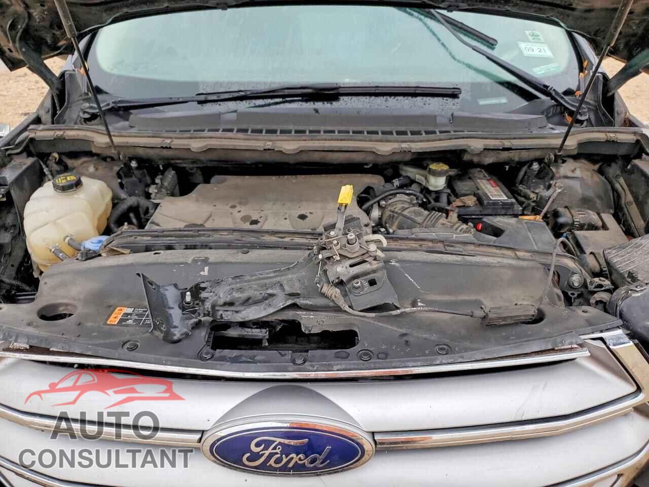 FORD EDGE 2015 - 2FMTK3G82FBB66446