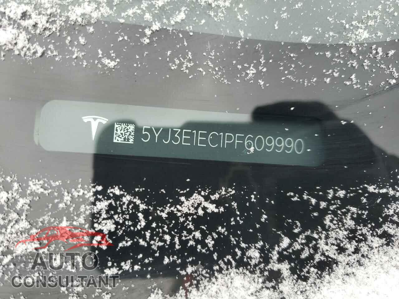 TESLA MODEL 3 2023 - 5YJ3E1EC1PF609990