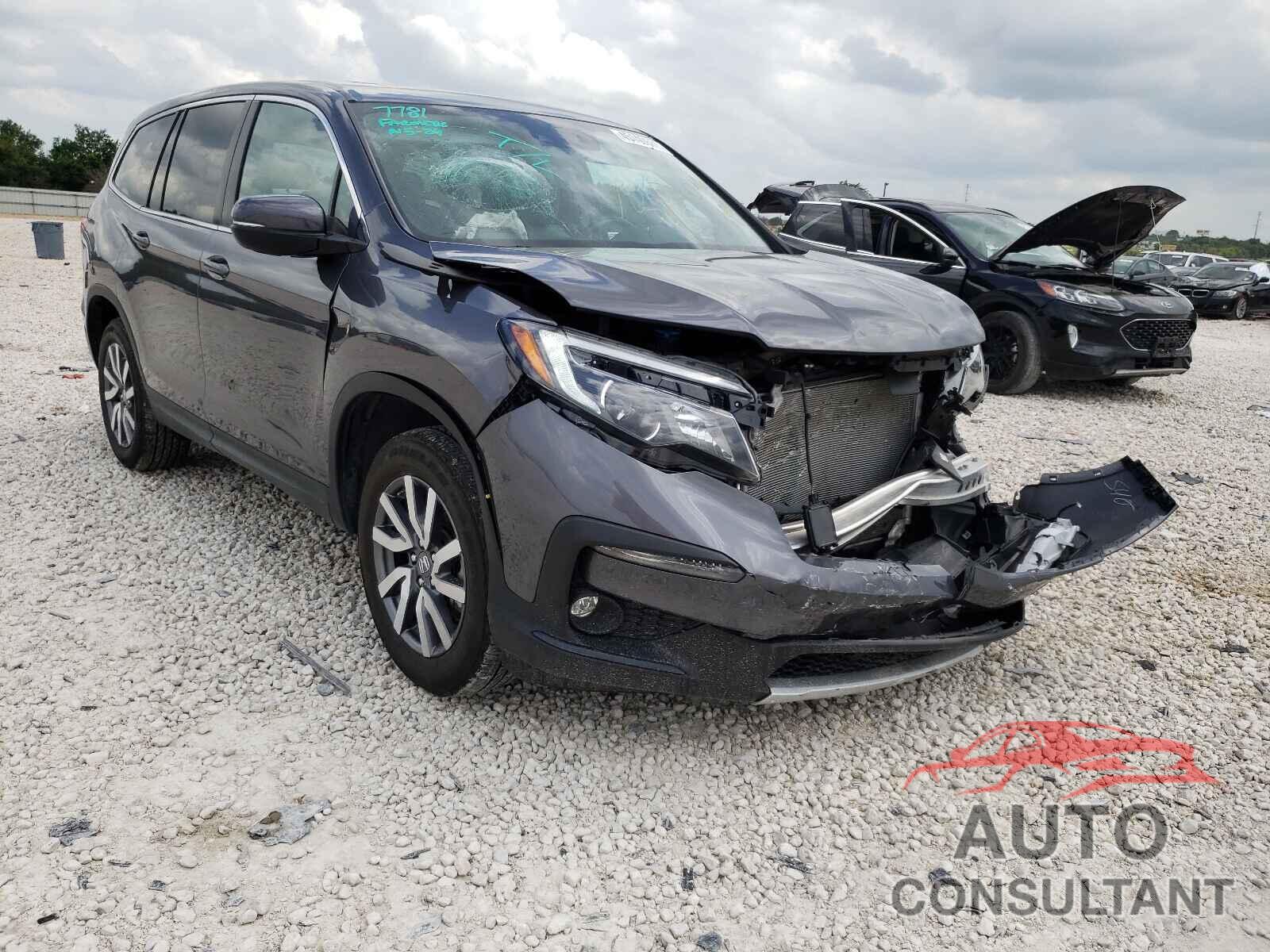 HONDA PILOT 2019 - 5FNYF6H52KB046499