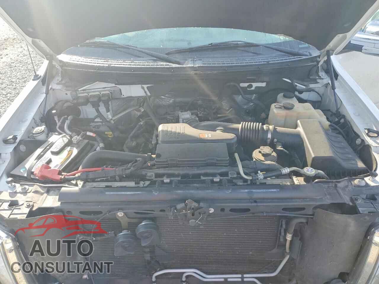 FORD F150 2010 - 1FTMF1CW6AKC19380