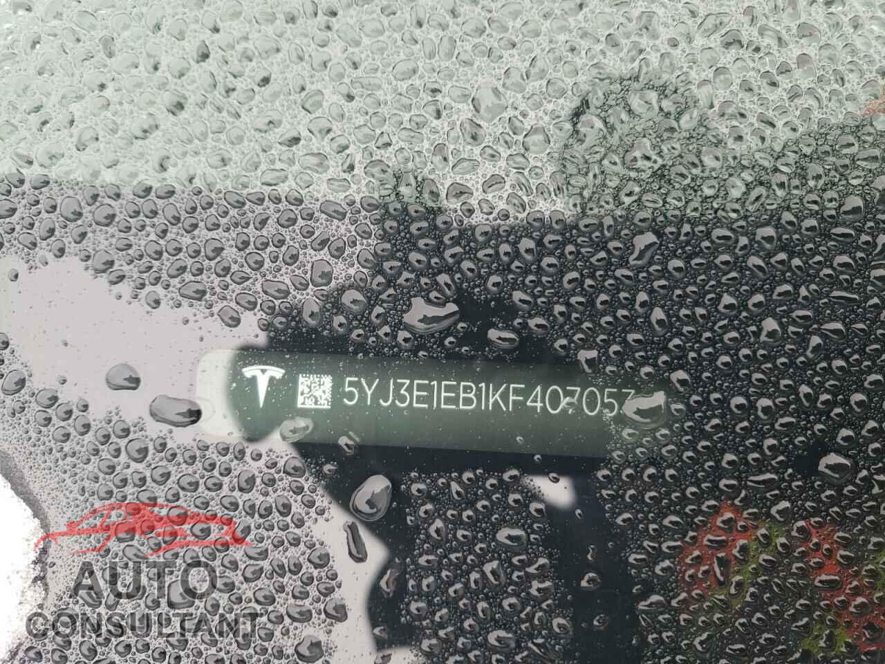 TESLA MODEL 3 2019 - 5YJ3E1EB1KF407053