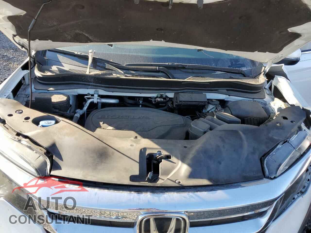 HONDA PILOT 2021 - 5FNYF5H31MB013697