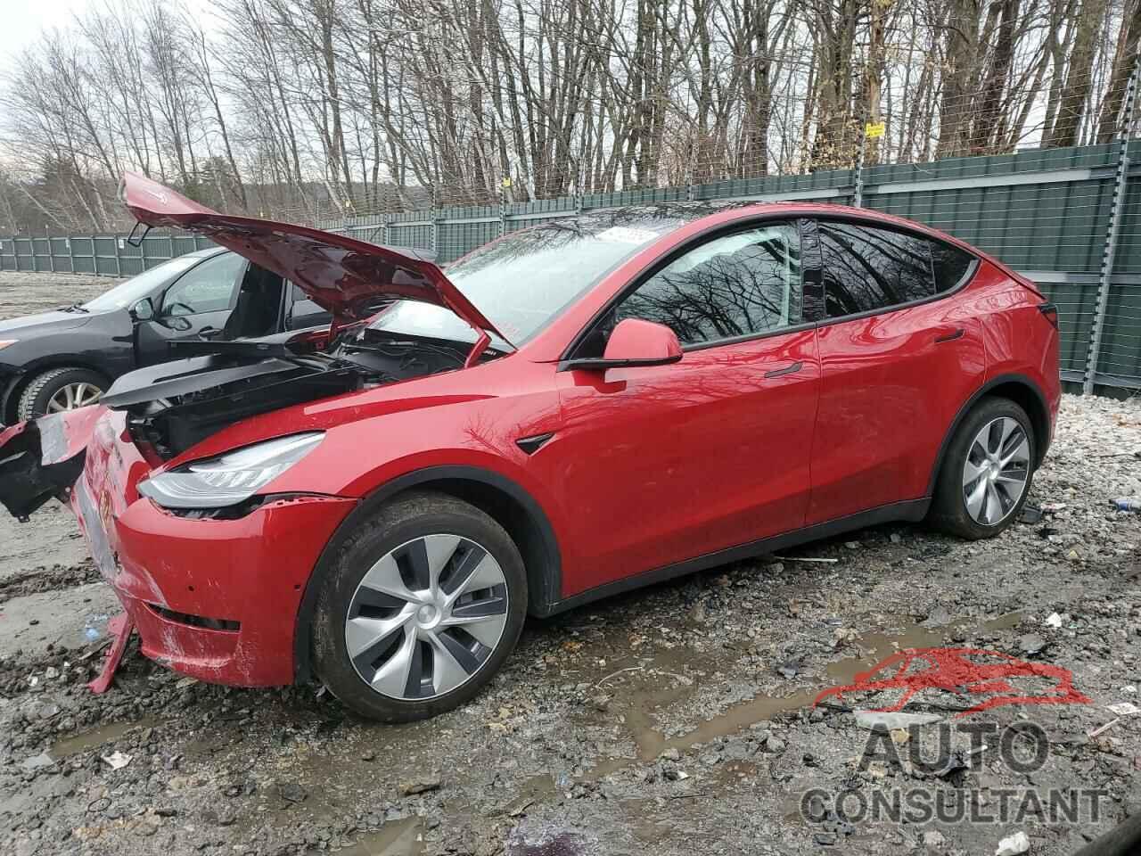 TESLA MODEL Y 2021 - 5YJYGDEE7MF118547