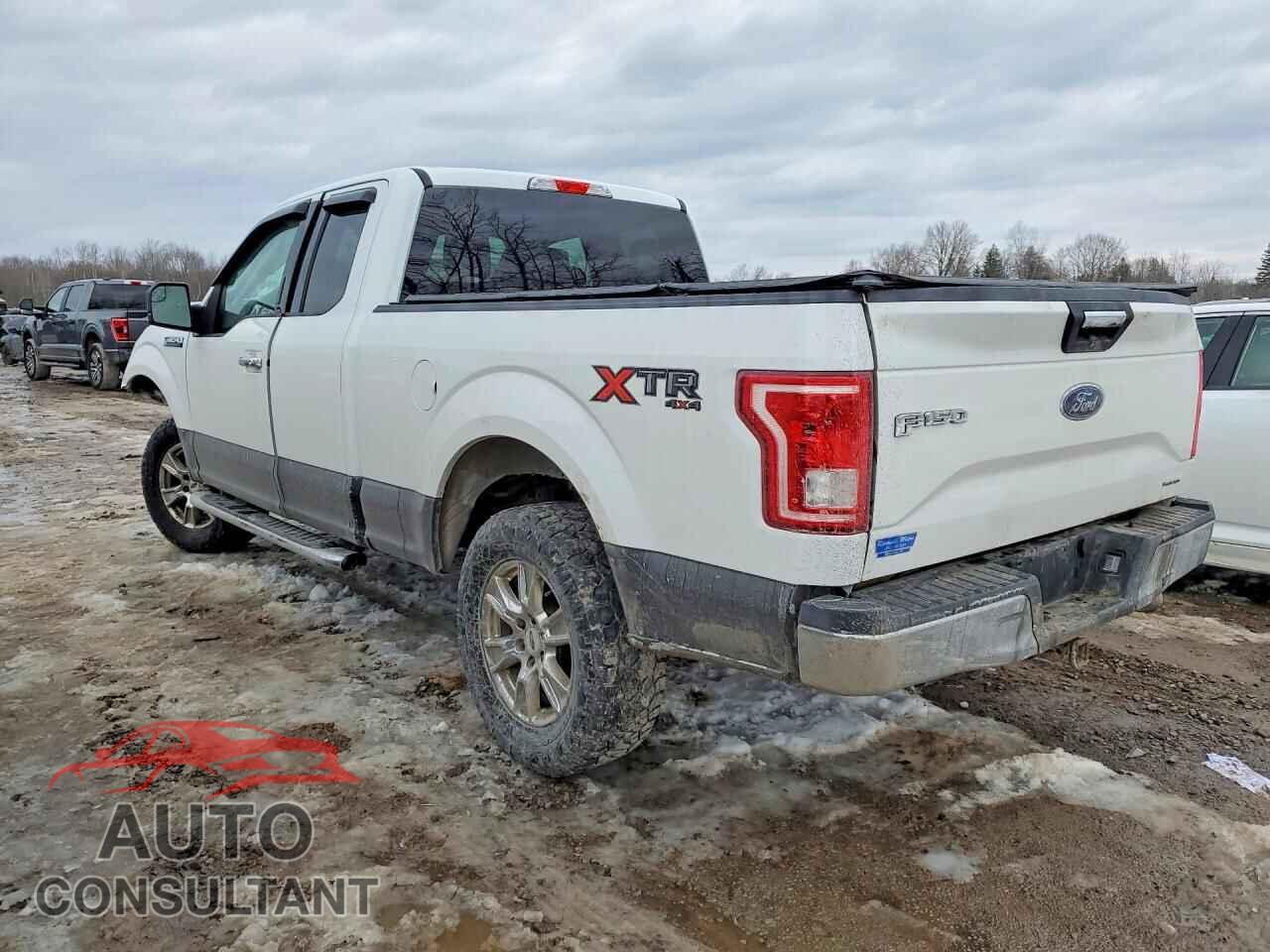FORD F150 2015 - 1FTFX1EF1FFA44281
