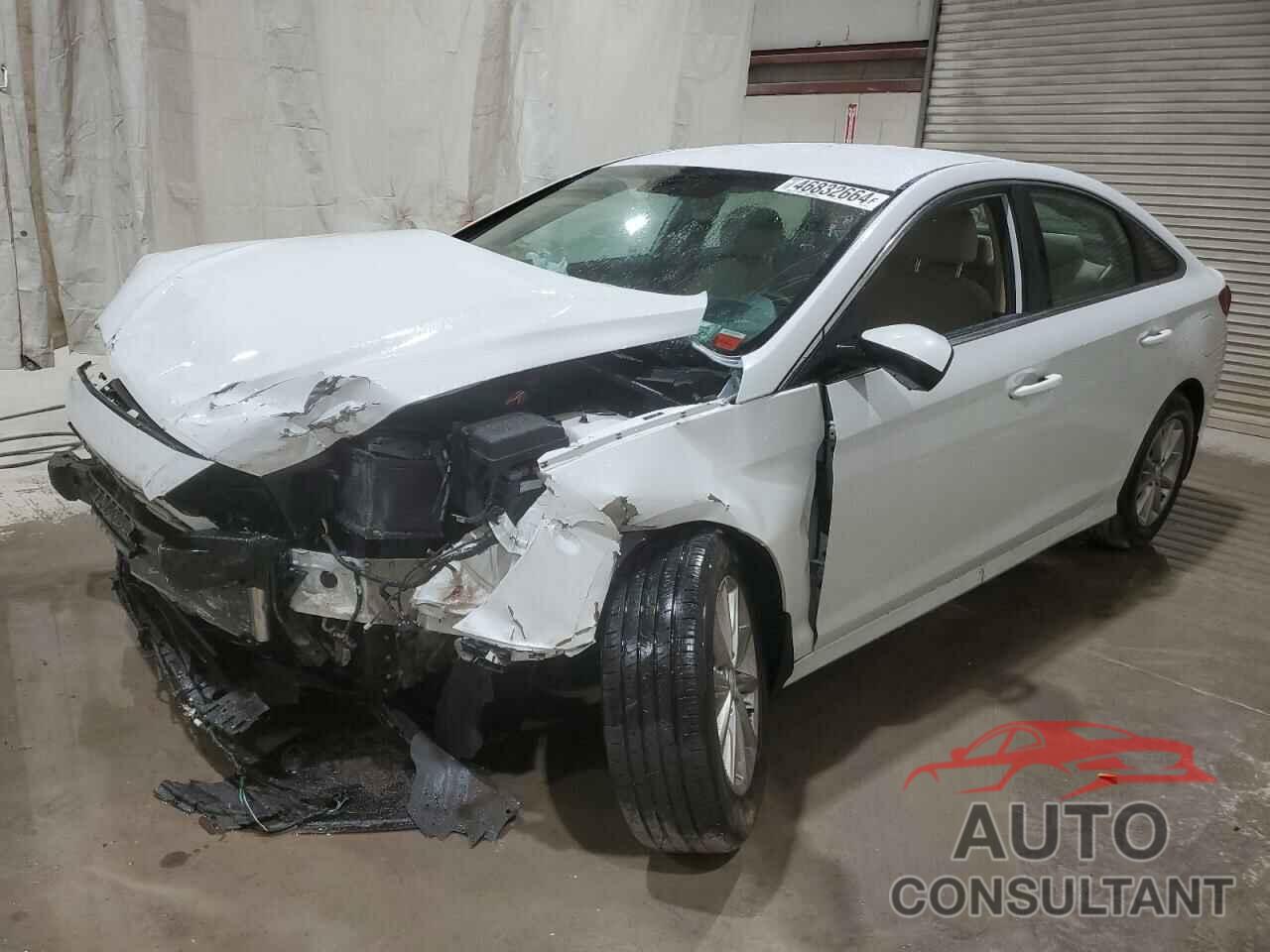 HYUNDAI SONATA 2019 - 5NPE24AF3KH800758