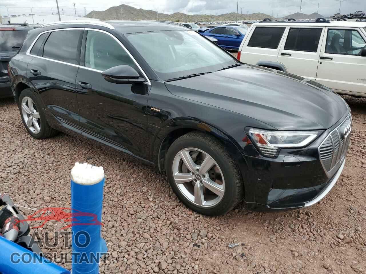 AUDI E-TRON 2019 - WA1VAAGE9KB013308