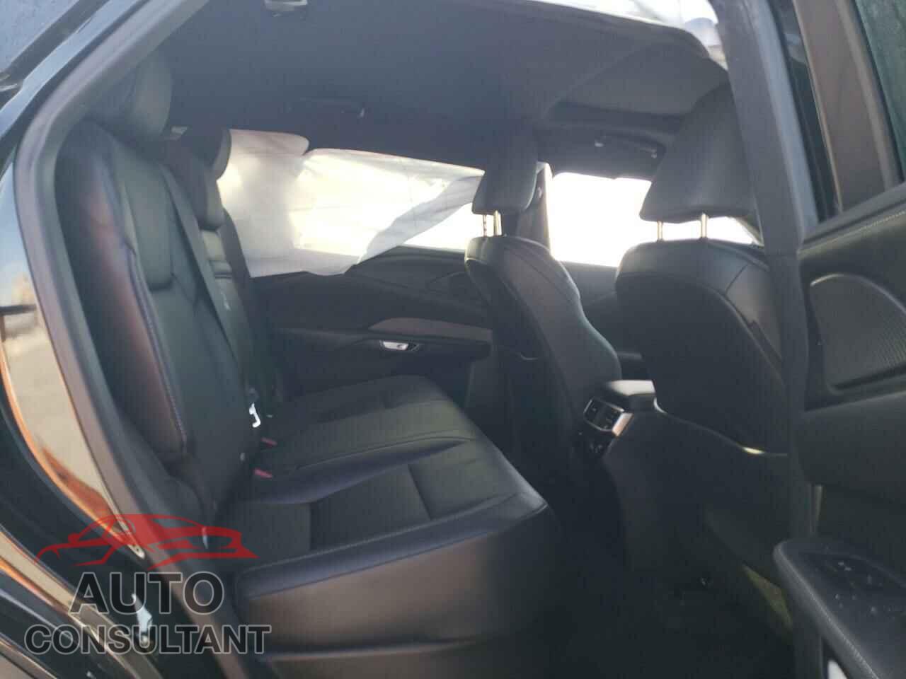 LEXUS RX350 2024 - 2T2BAMBA9RC035962