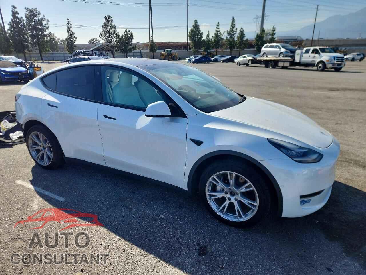 TESLA MODEL Y 2021 - 5YJYGAEE6MF195389
