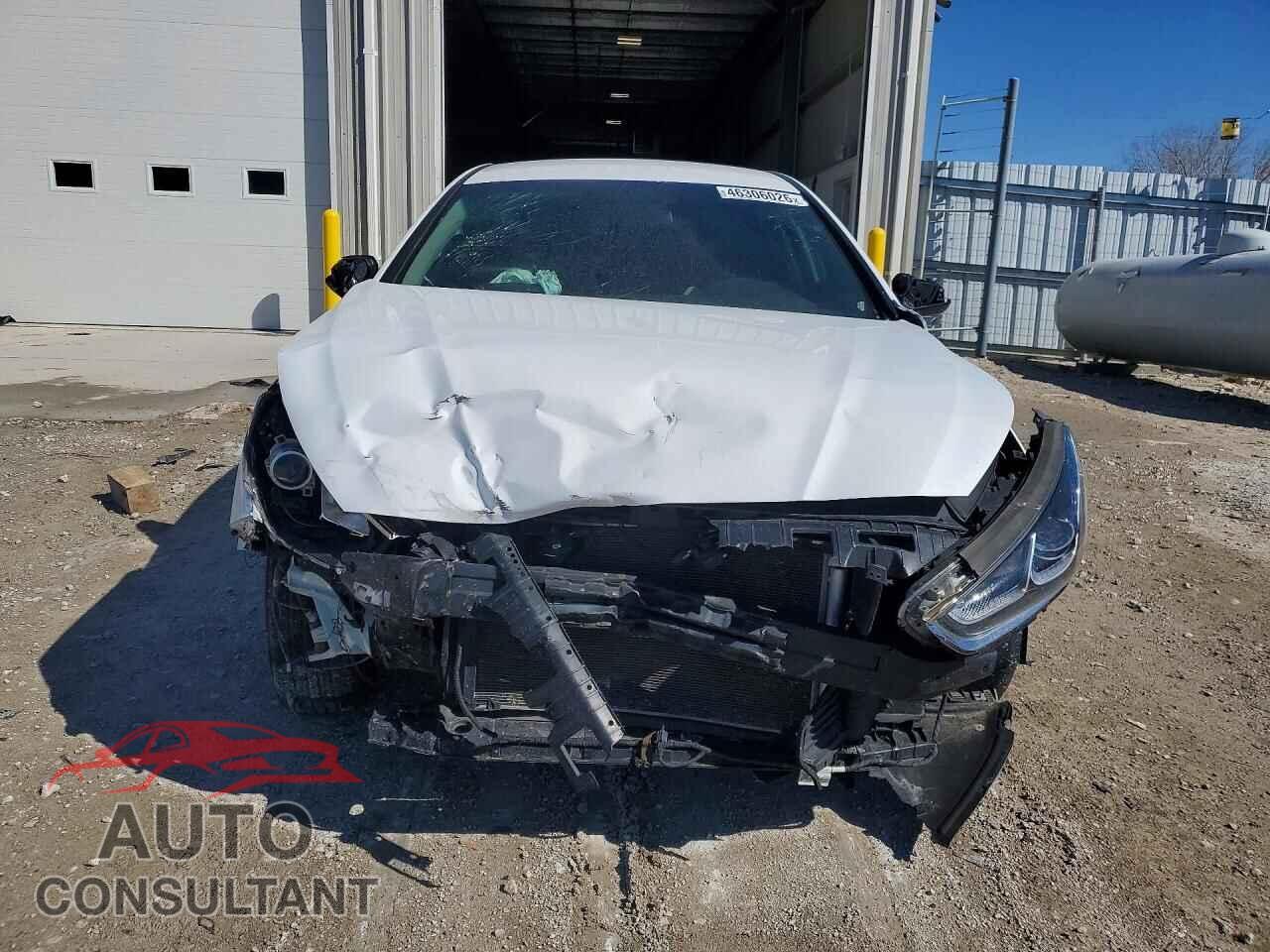 HYUNDAI SONATA 2019 - 5NPE24AFXKH759111