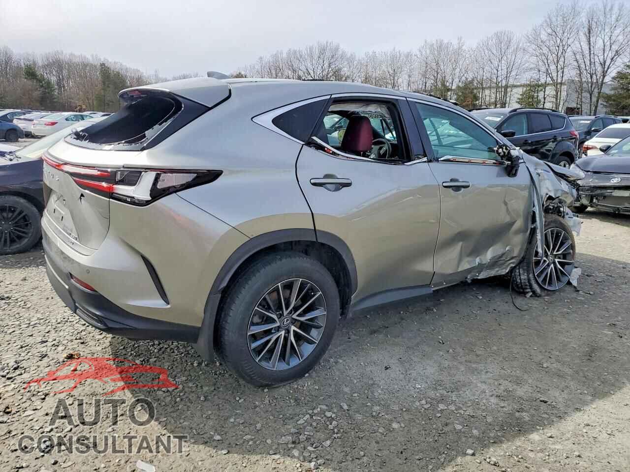 LEXUS NX 2024 - 2T2GGCEZ6RC038740