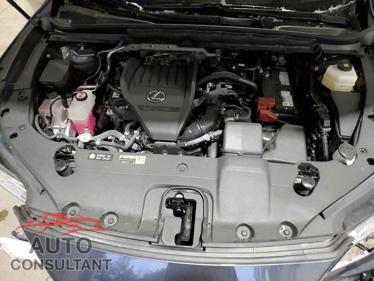 LEXUS RX350 2024 - 2T2BAMCA6RC062910