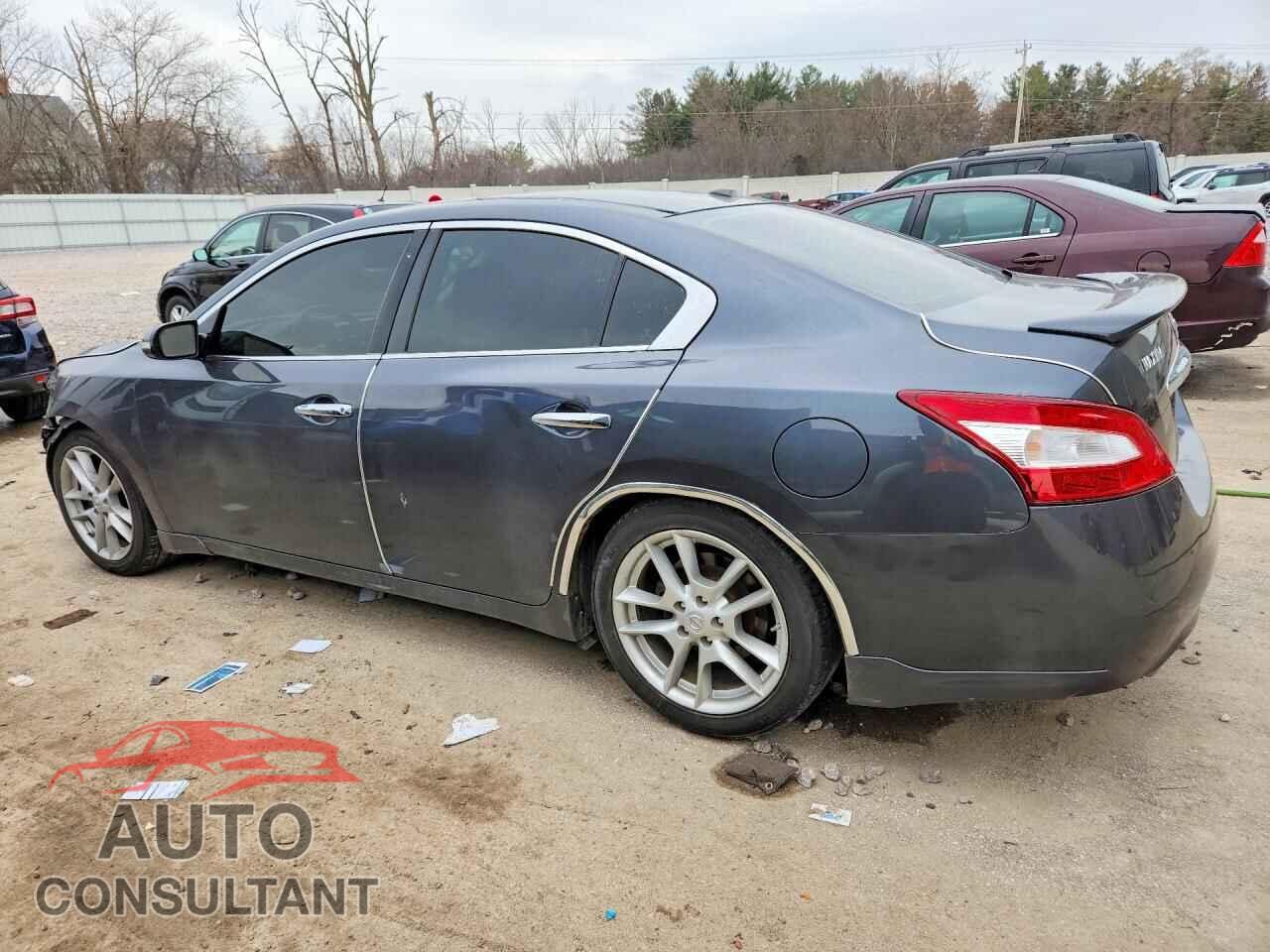 NISSAN MAXIMA 2010 - 1N4AA5AP1AC850106