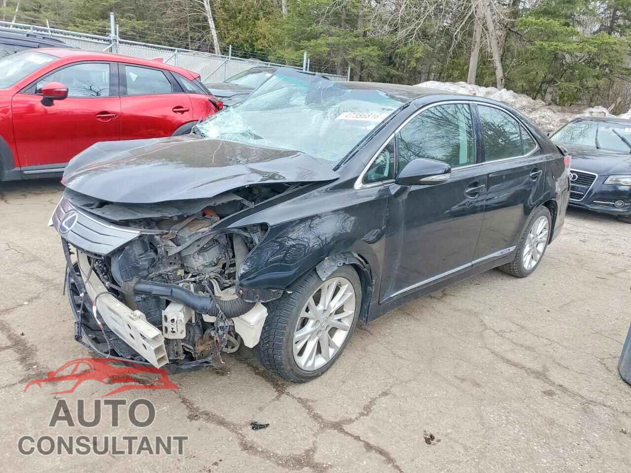 LEXUS HS 2010 - JTHBB1BA0A2029629