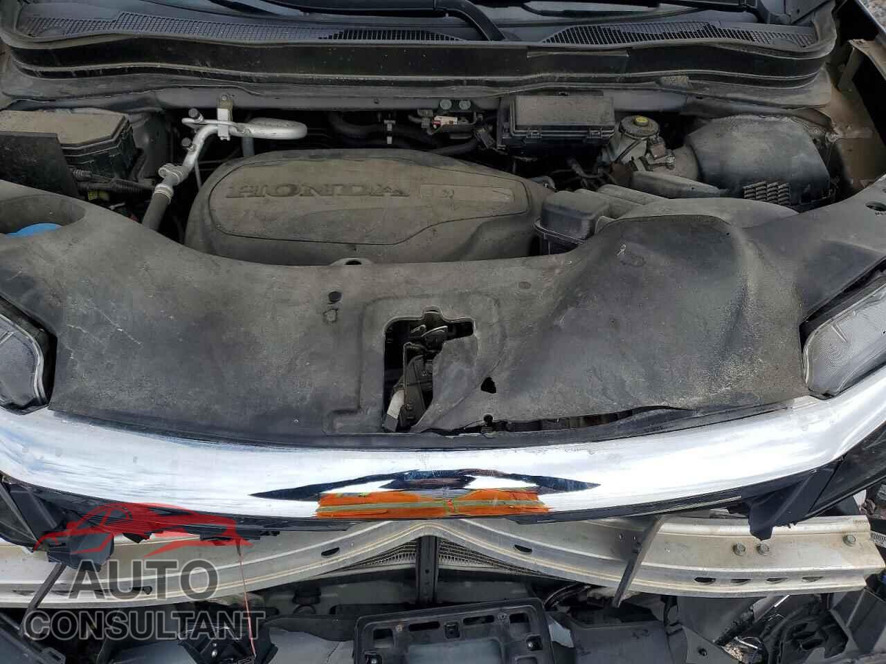 HONDA PILOT 2021 - 5FNYF6H39MB075919