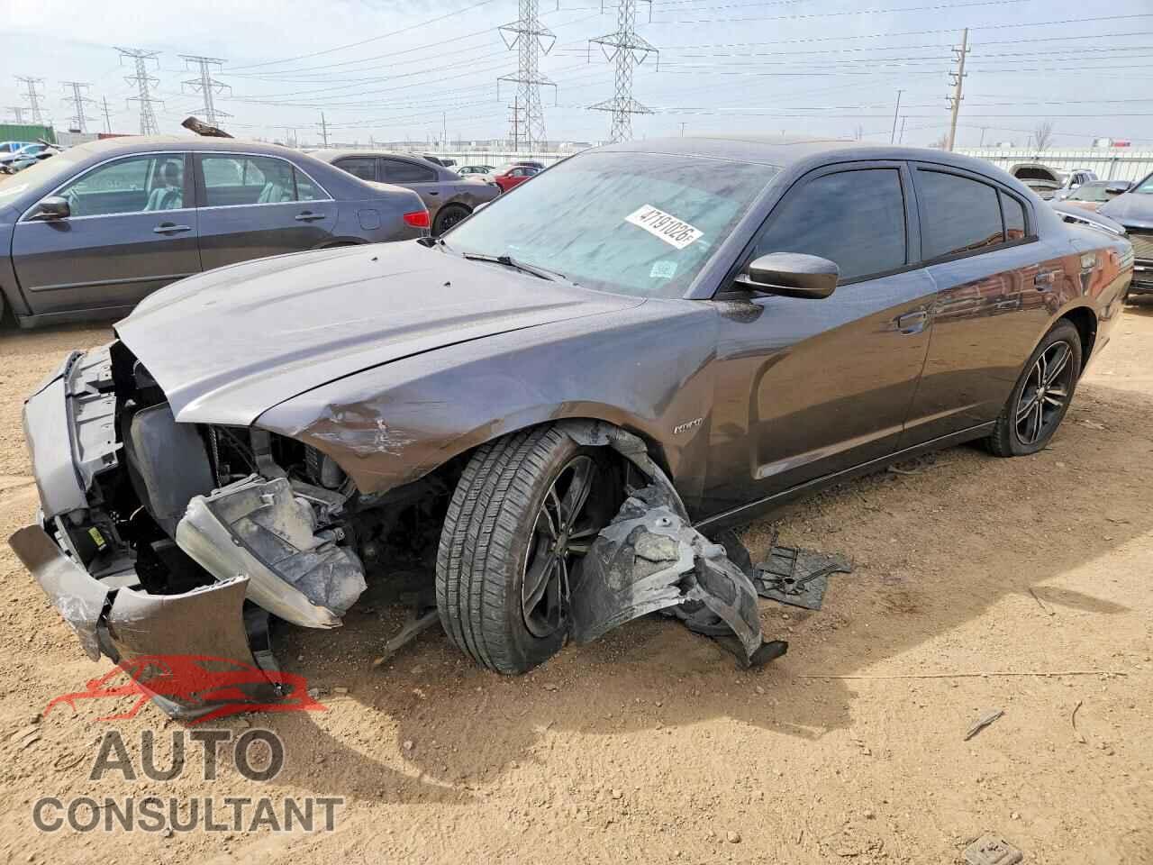 DODGE CHARGER 2014 - 2C3CDXDT6EH244757