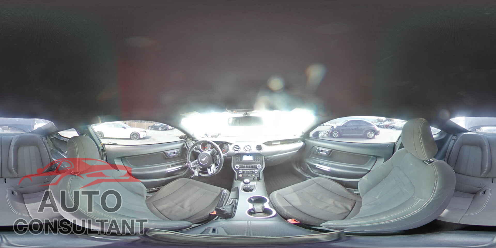 FORD MUSTANG 2019 - 1FA6P8CF1K5118865