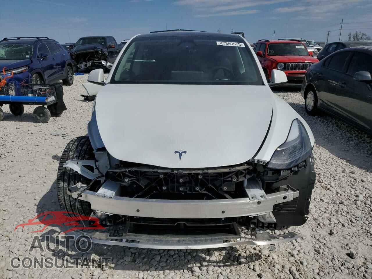 TESLA MODEL Y 2024 - 7SAYGDEE5RA290471