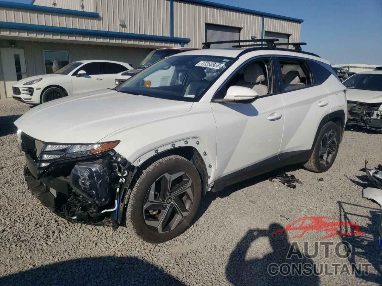 HYUNDAI TUCSON 2024 - 5NMJF3DE0RH374339