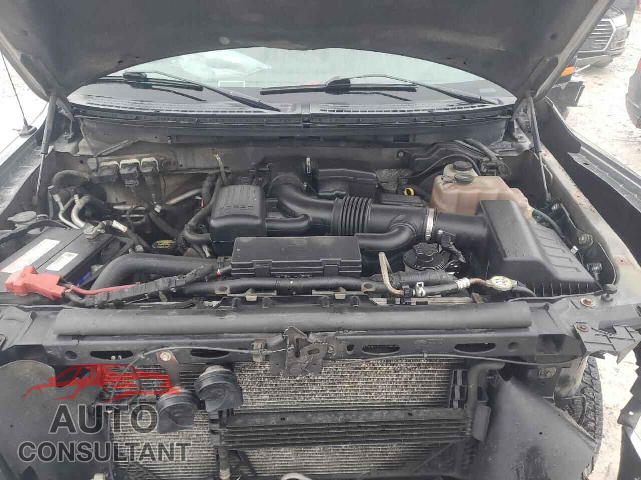 FORD F-150 2010 - 1FTFW1EV7AFA88224