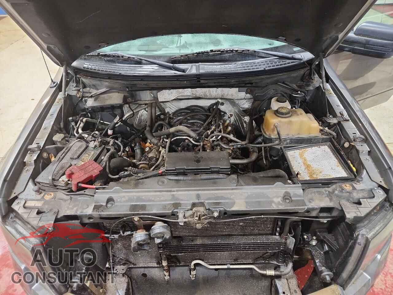FORD F150 2012 - 1FTFX1EF5CFC17926