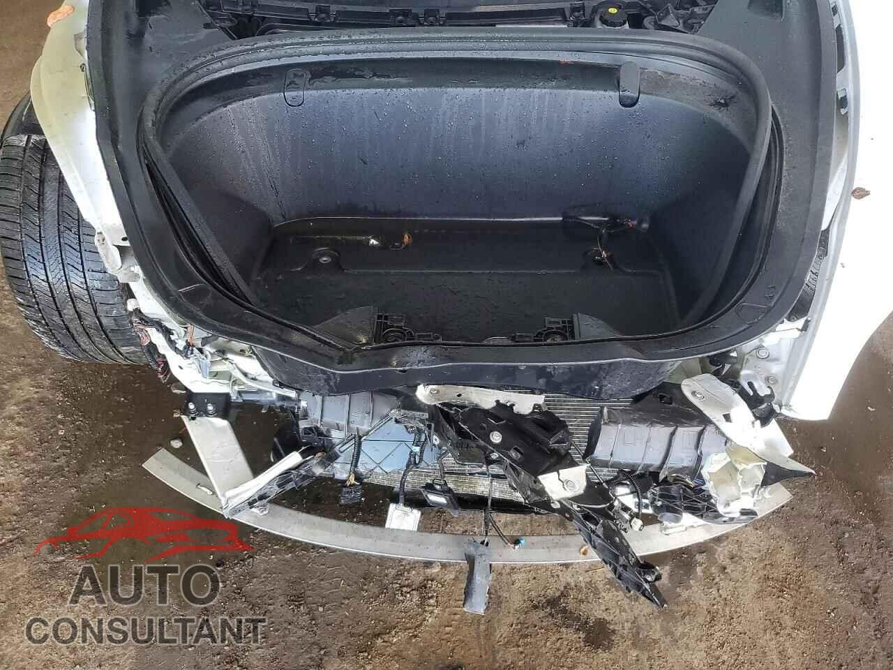 TESLA MODEL 3 2019 - 5YJ3E1EB1KF392487