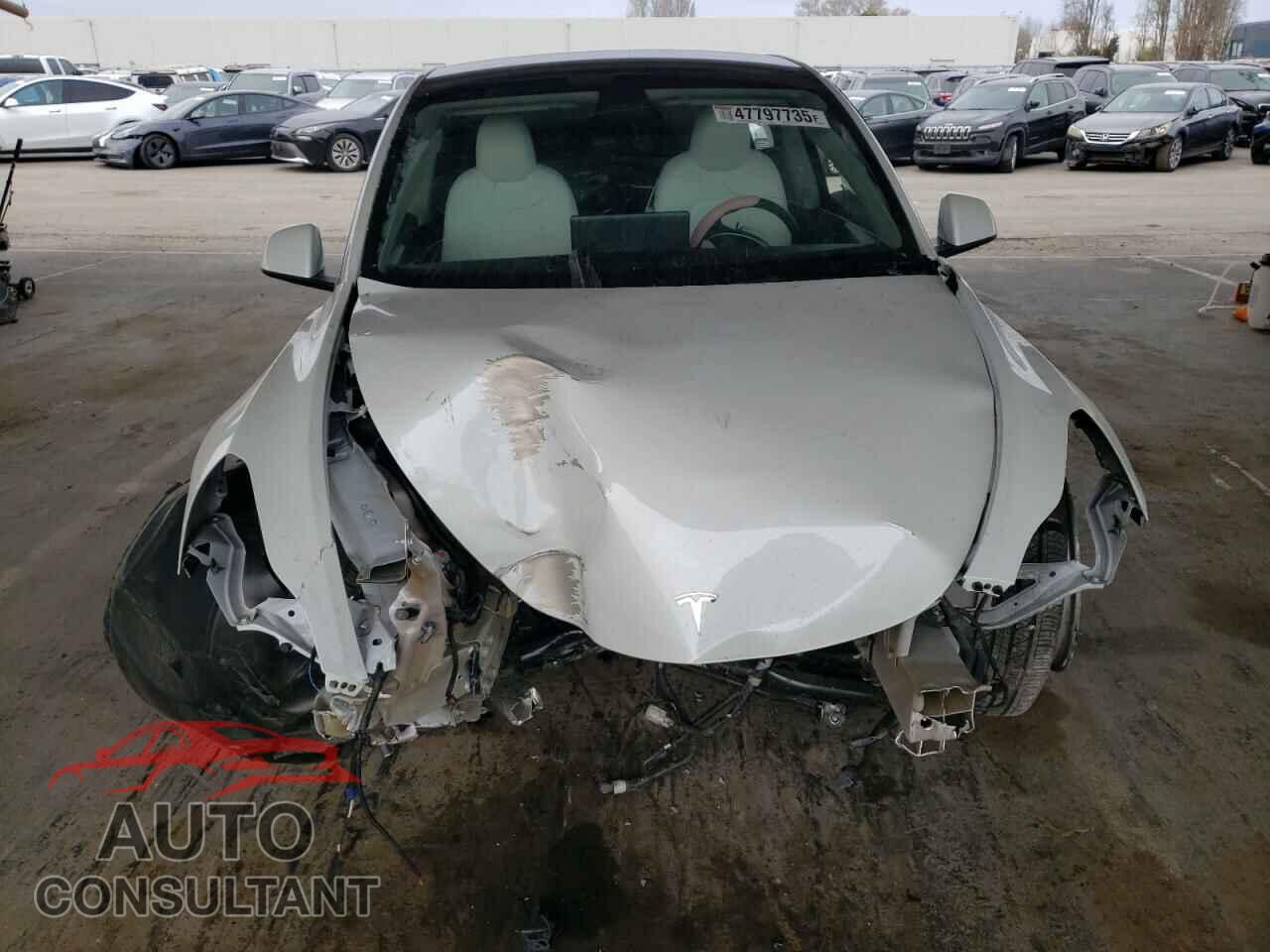TESLA MODEL Y 2024 - 7SAYGDED2RF077262