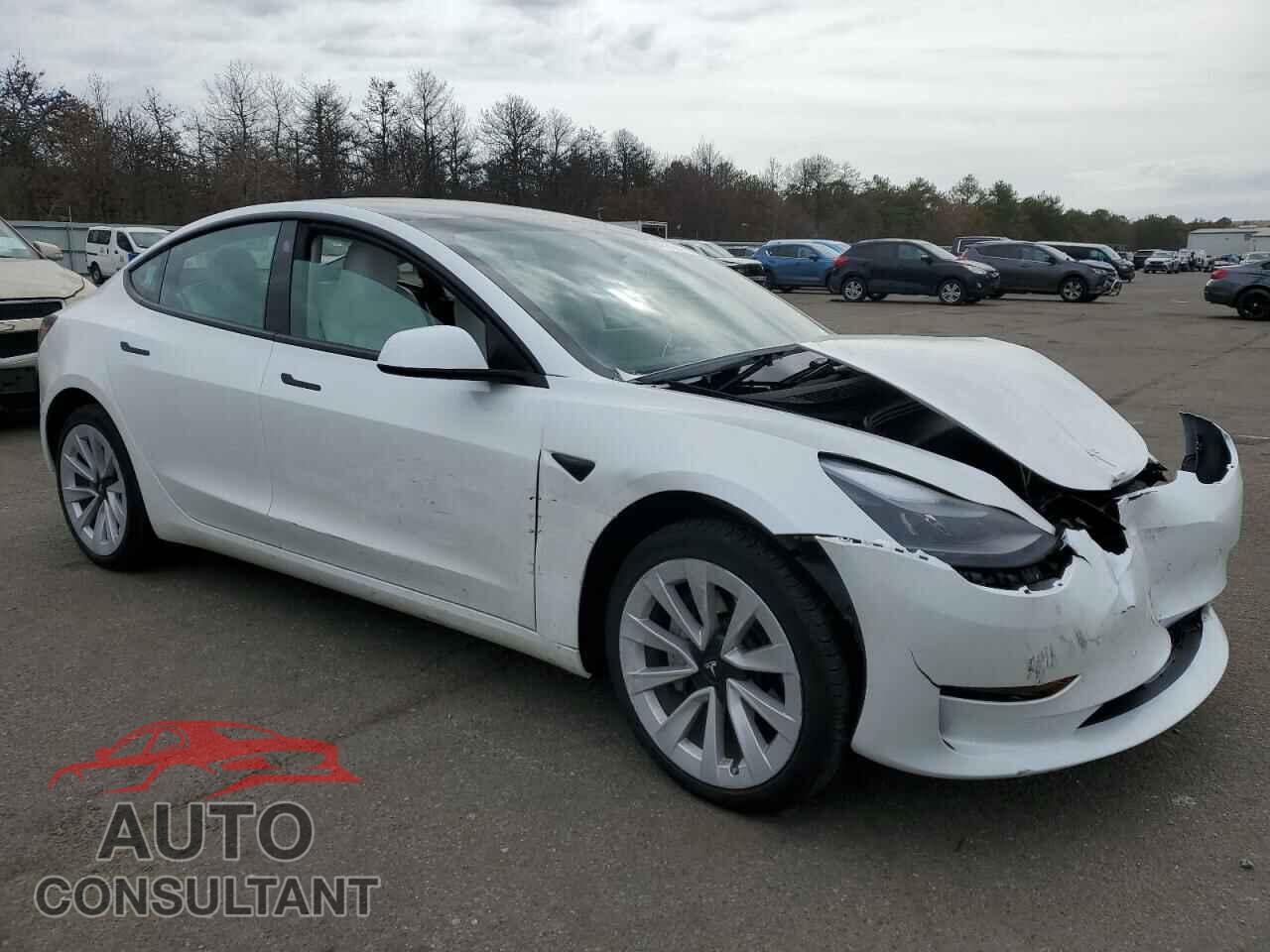 TESLA MODEL 3 2023 - 5YJ3E1EA4PF569399