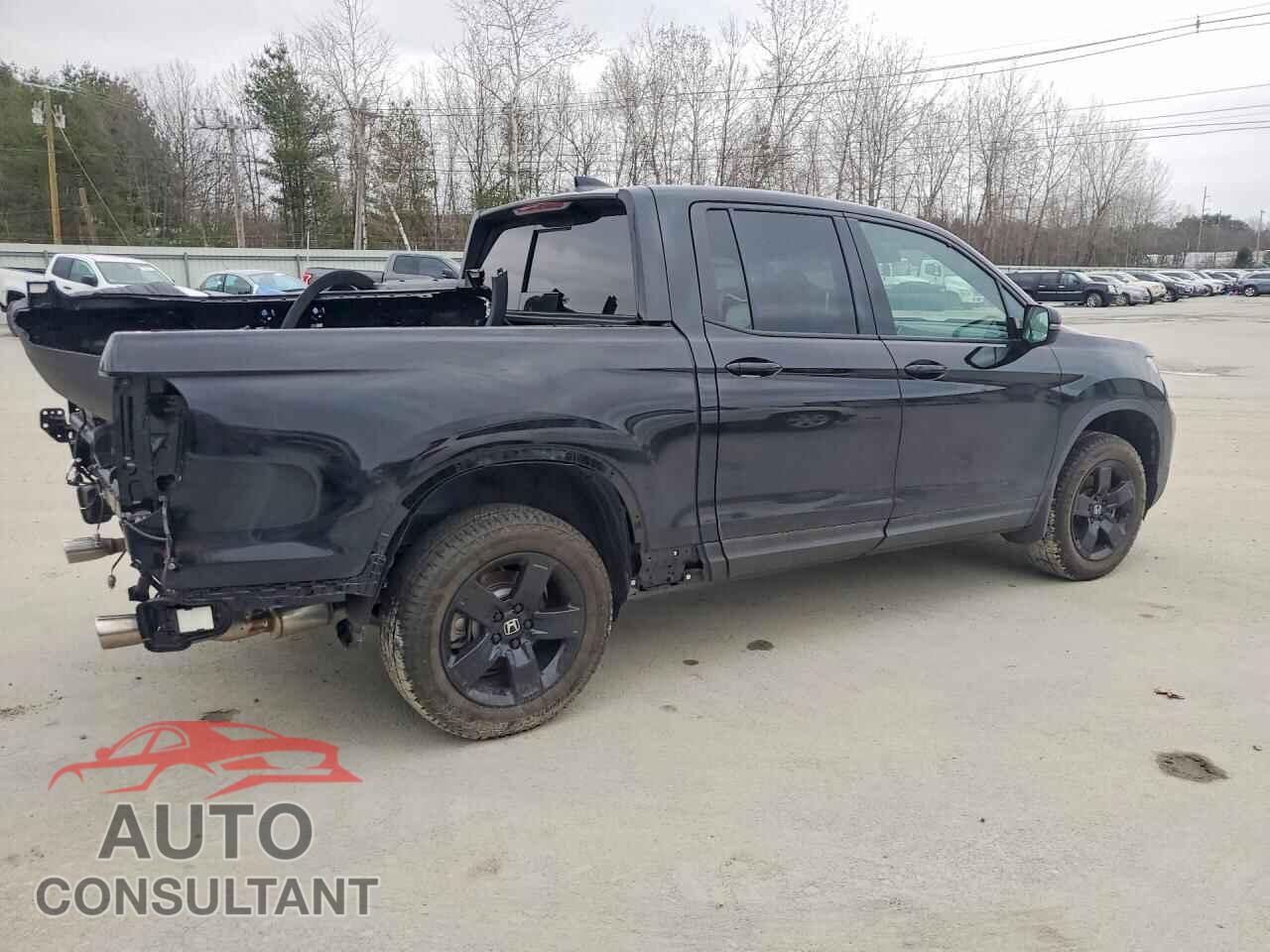 HONDA RIDGELINE 2025 - 5FPYK3F88SB043850