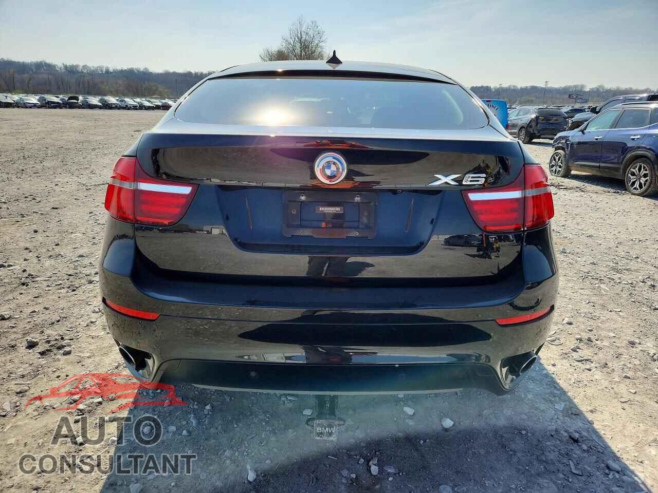 BMW X6 2014 - 5UXFG2C55E0H11386