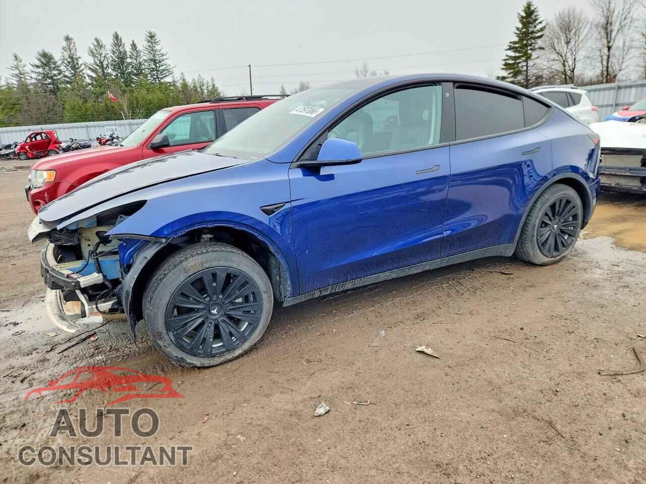 TESLA MODEL Y 2022 - 7SAYGDEE5NF357955