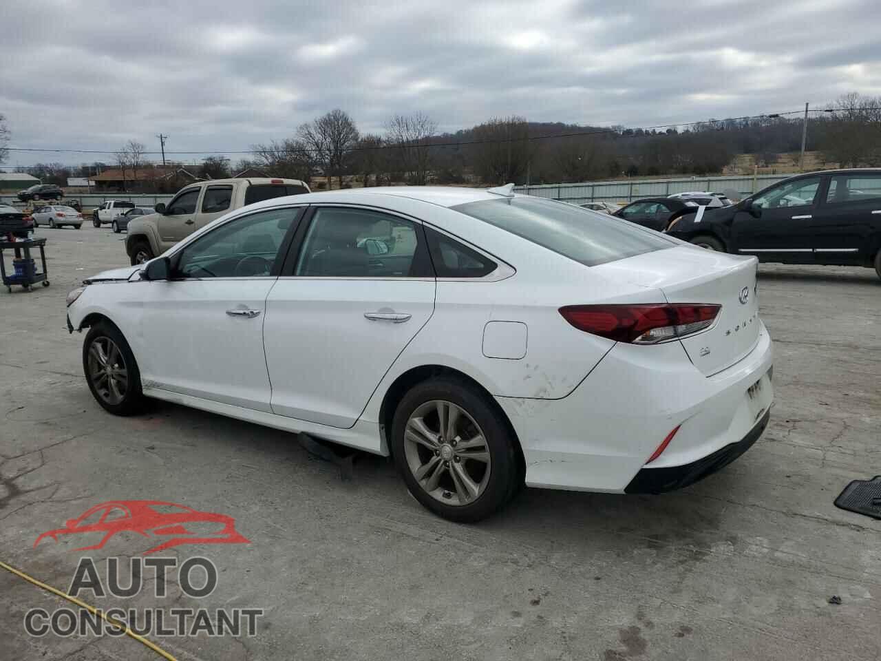 HYUNDAI SONATA 2019 - 5NPE34AF7KH778793
