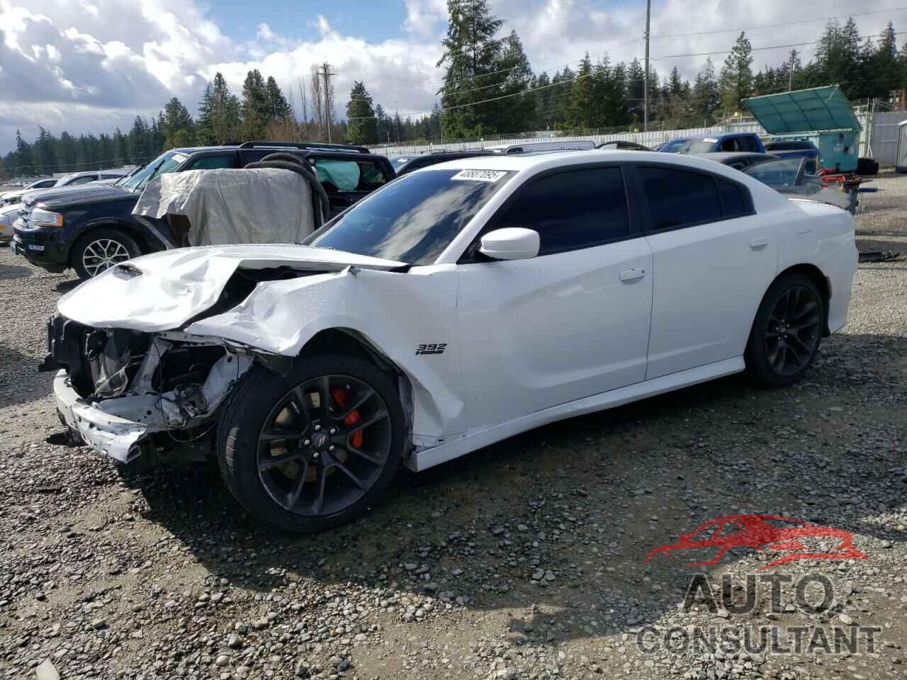 DODGE CHARGER 2021 - 2C3CDXGJ2MH582701
