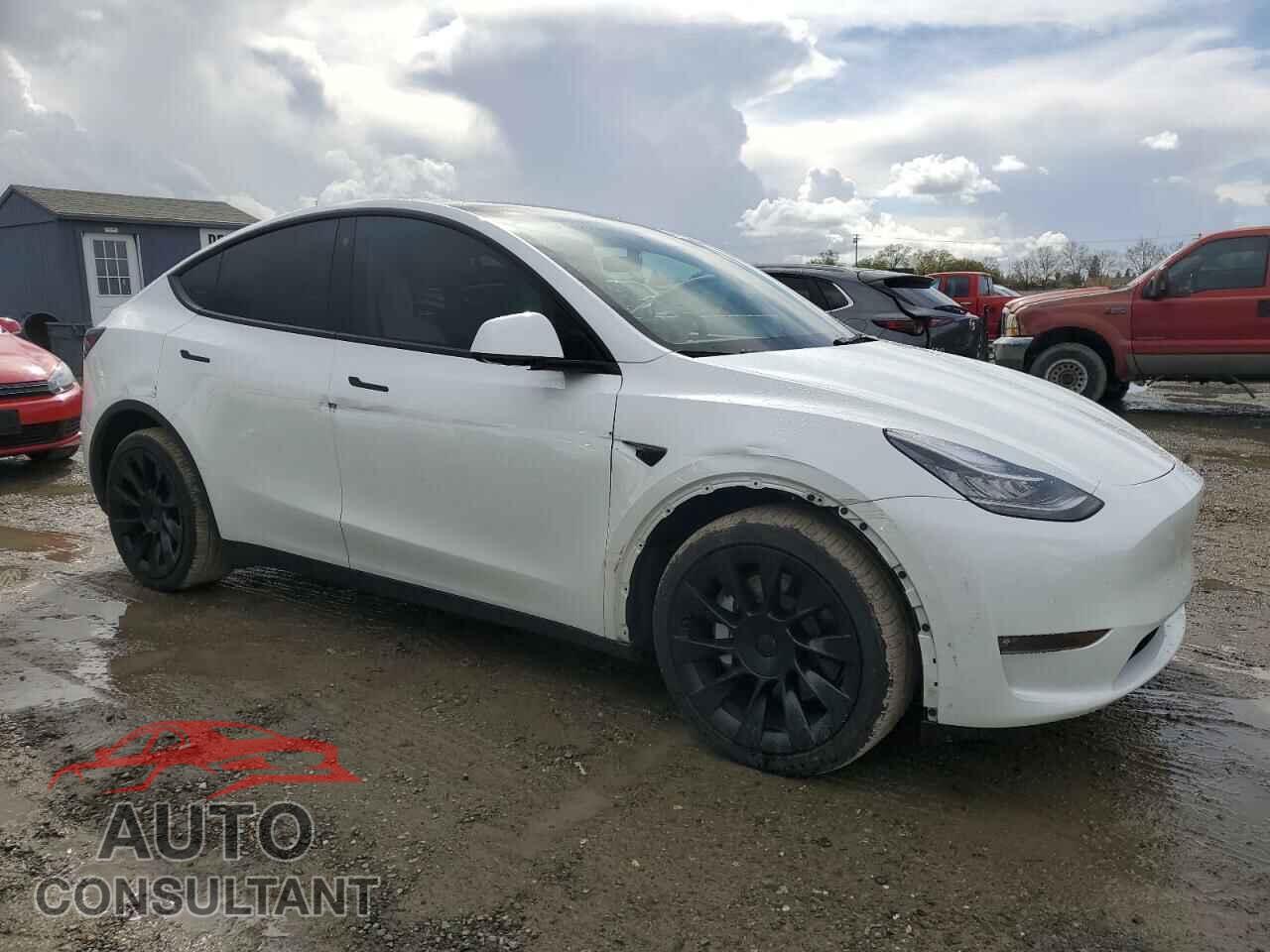 TESLA MODEL Y 2022 - 7SAYGDEE2NF403385