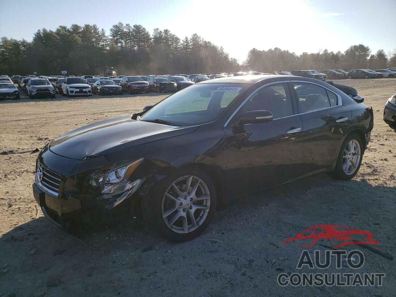 NISSAN MAXIMA 2010 - 1N4AA5AP6AC825203