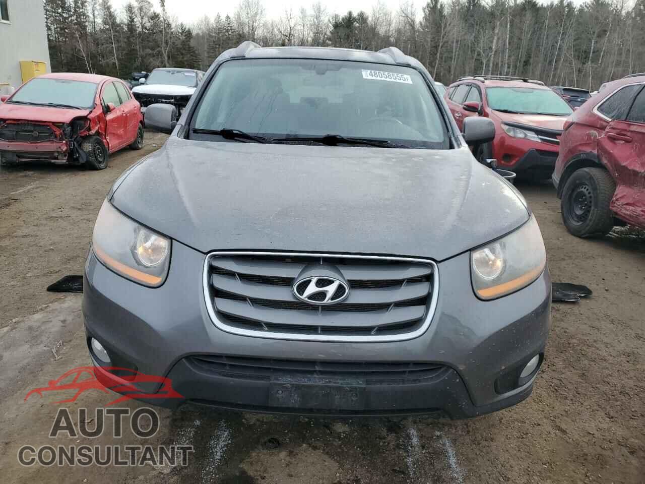 HYUNDAI SANTA FE 2010 - 5NMSGDAG7AH364876