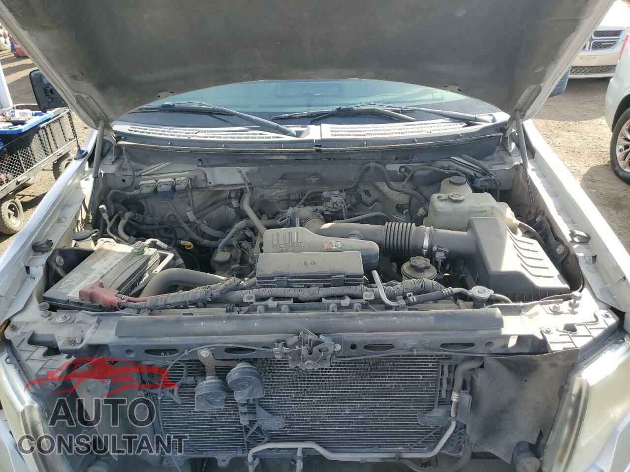 FORD F-150 2010 - 1FTEX1EW1AFA91959