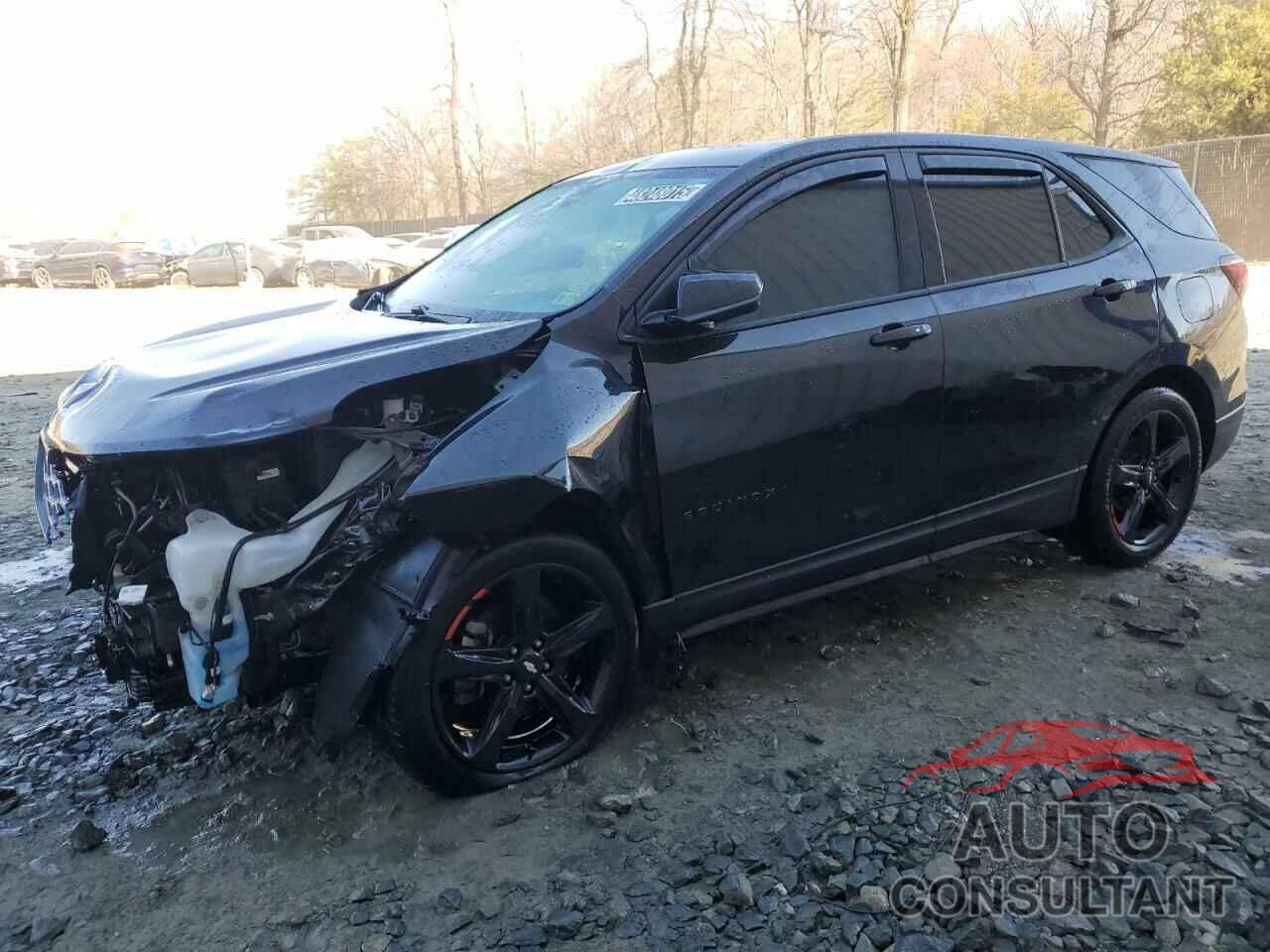 CHEVROLET EQUINOX 2019 - 2GNAXLEX6K6163356