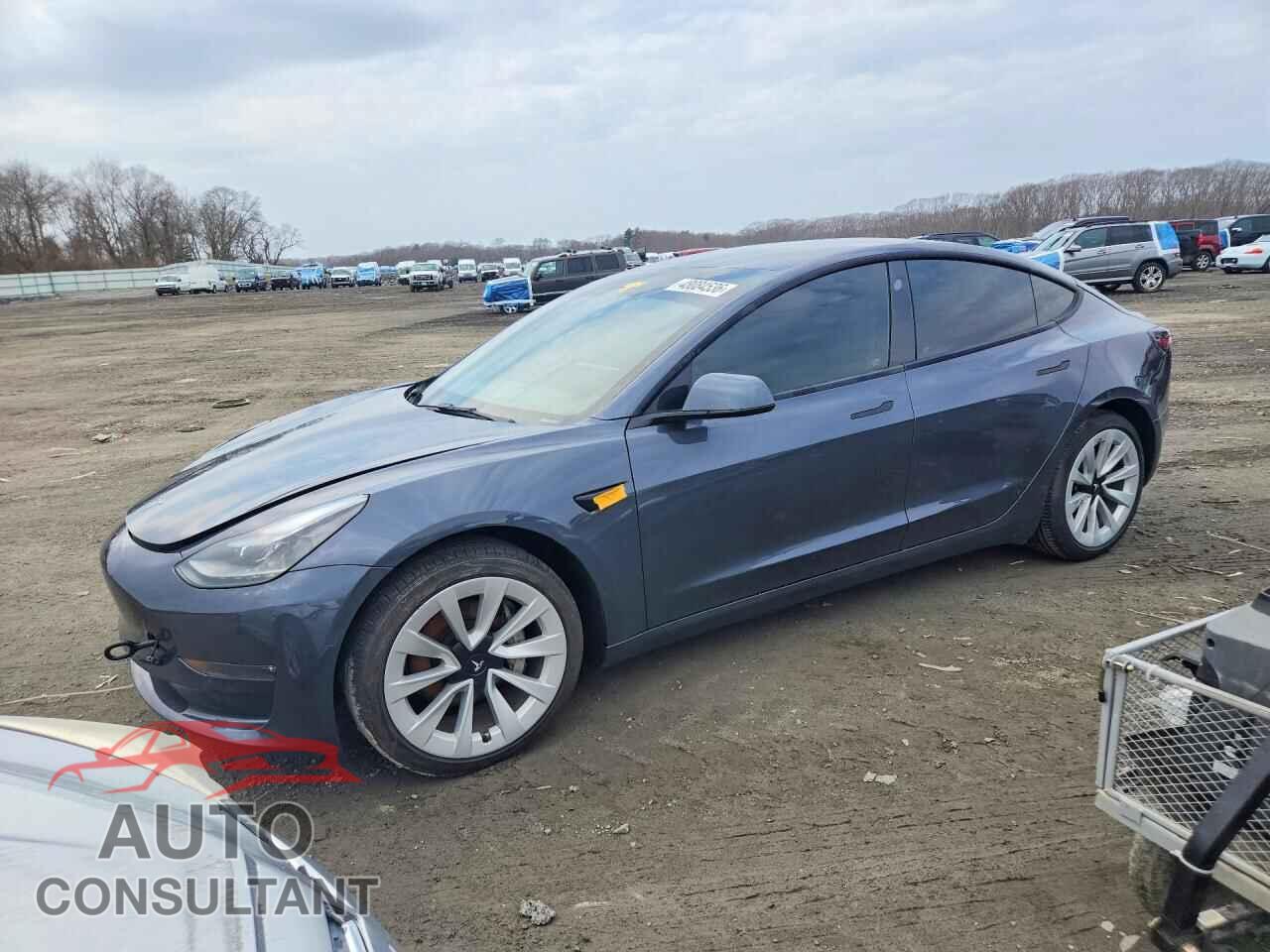 TESLA MODEL 3 2022 - 5YJ3E1EB5NF287181