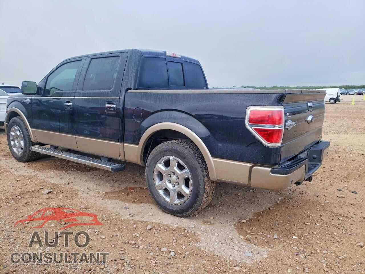 FORD F150 2013 - 1FTFW1CF1DKF82912
