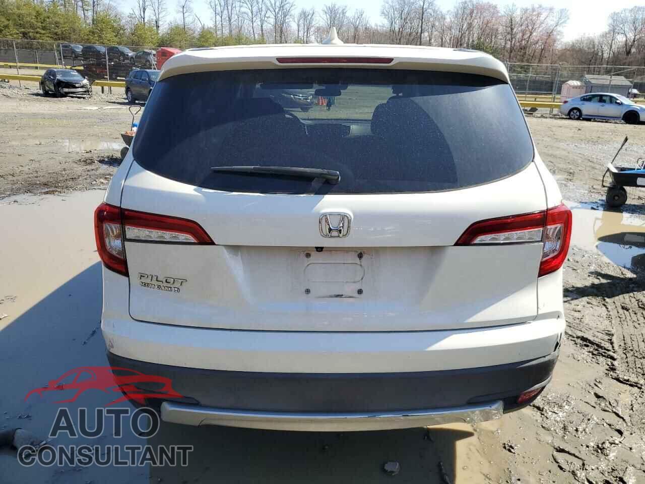 HONDA PILOT 2019 - 5FNYF5H36KB019797