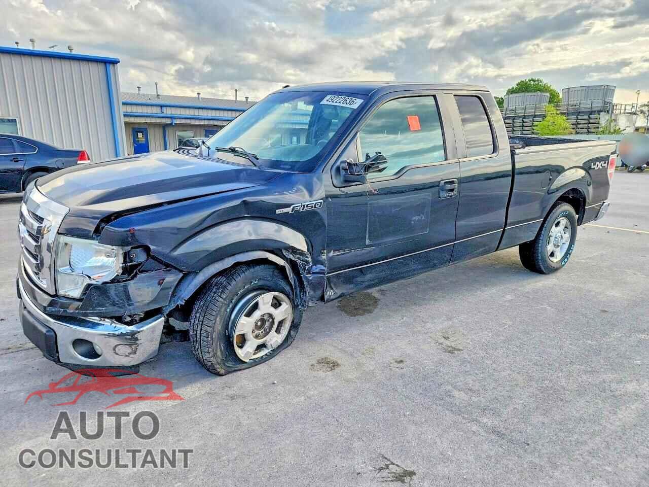 FORD F150 2011 - 1FTFX1EF6BFA74306