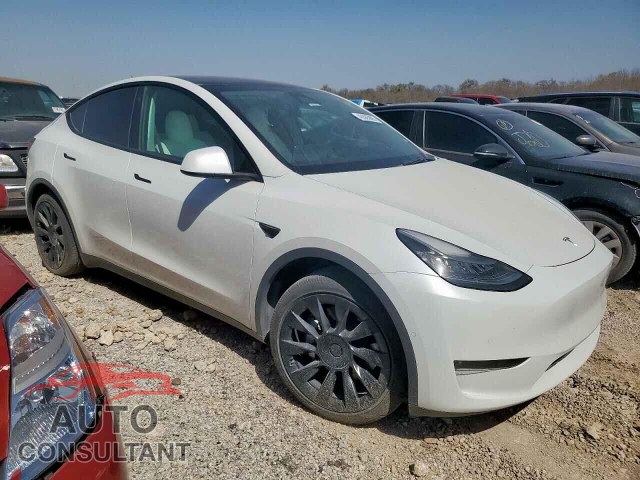 TESLA MODEL Y 2021 - 5YJYGDEE8MF125037