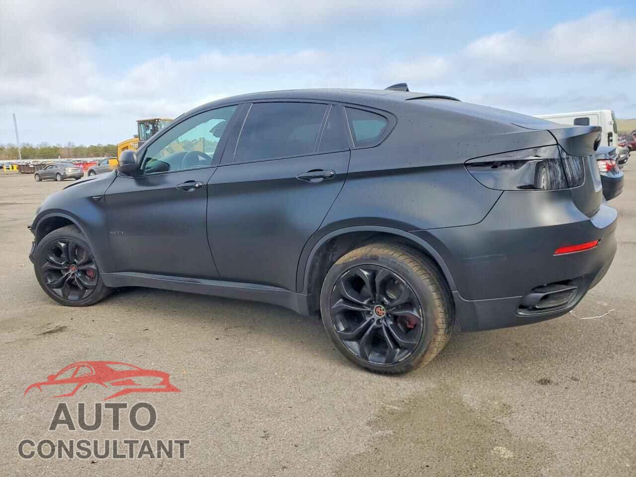 BMW X6 2013 - 5UXFG8C56DL591319