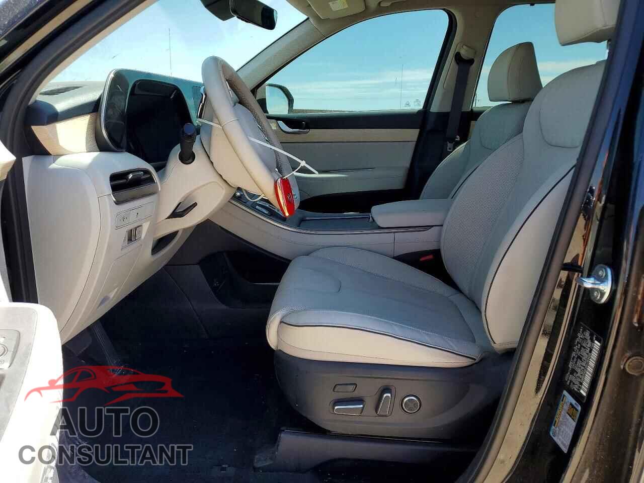 HYUNDAI PALISADE 2024 - KM8R54GE2RU769408