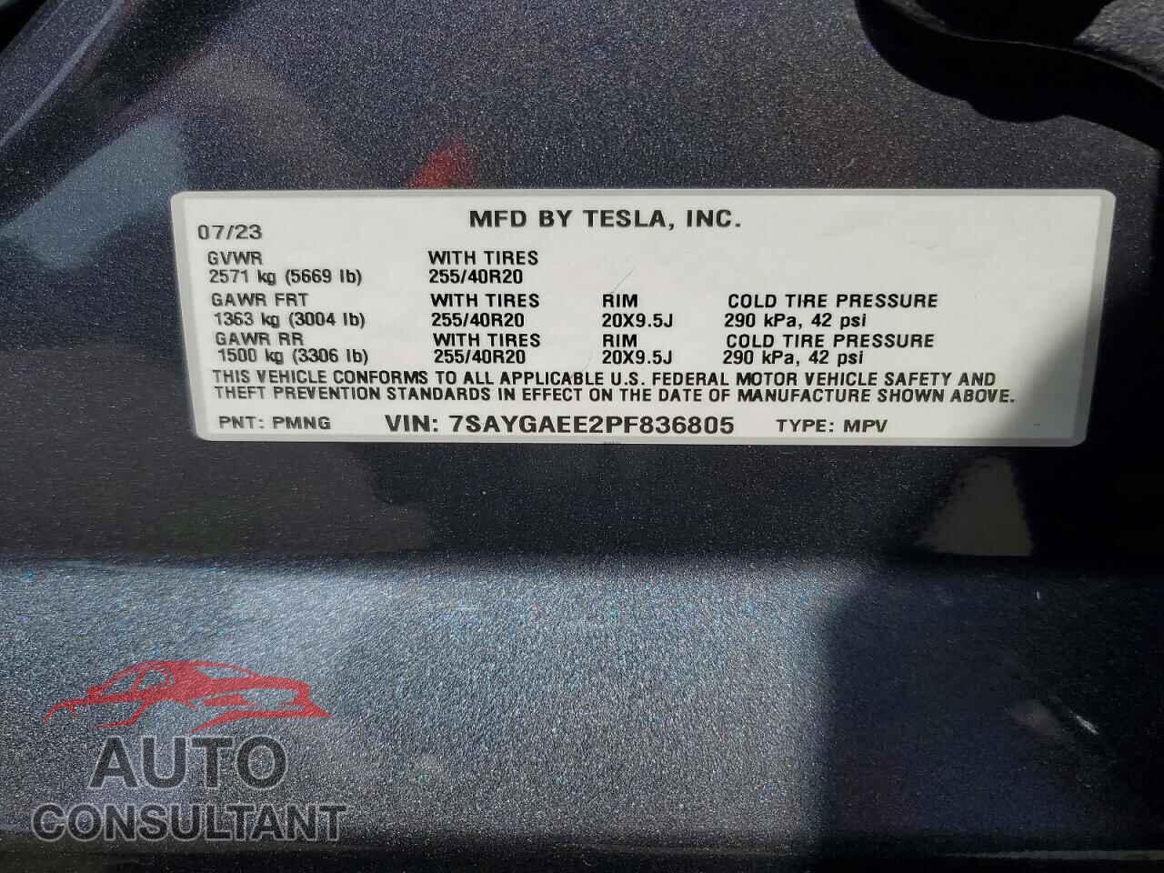 TESLA MODEL Y 2023 - 7SAYGAEE2PF836805