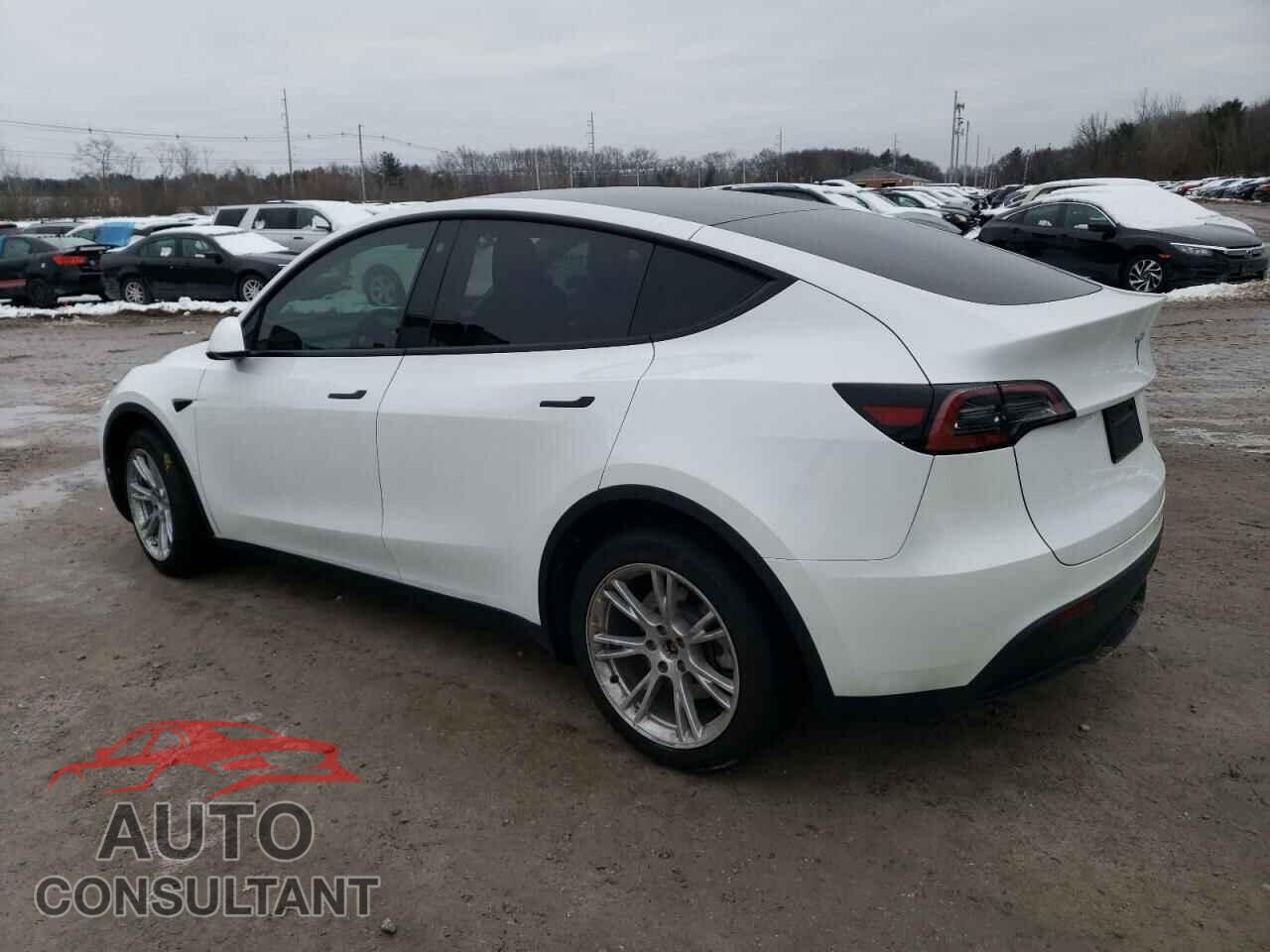 TESLA MODEL Y 2023 - 7SAYGDEE9PF662961