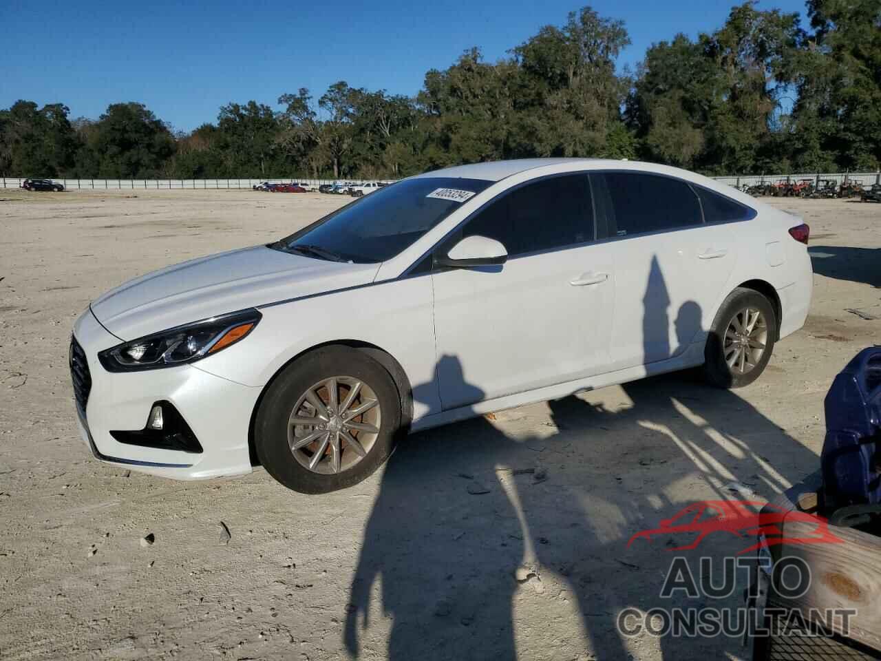 HYUNDAI SONATA 2019 - 5NPE24AF3KH741887