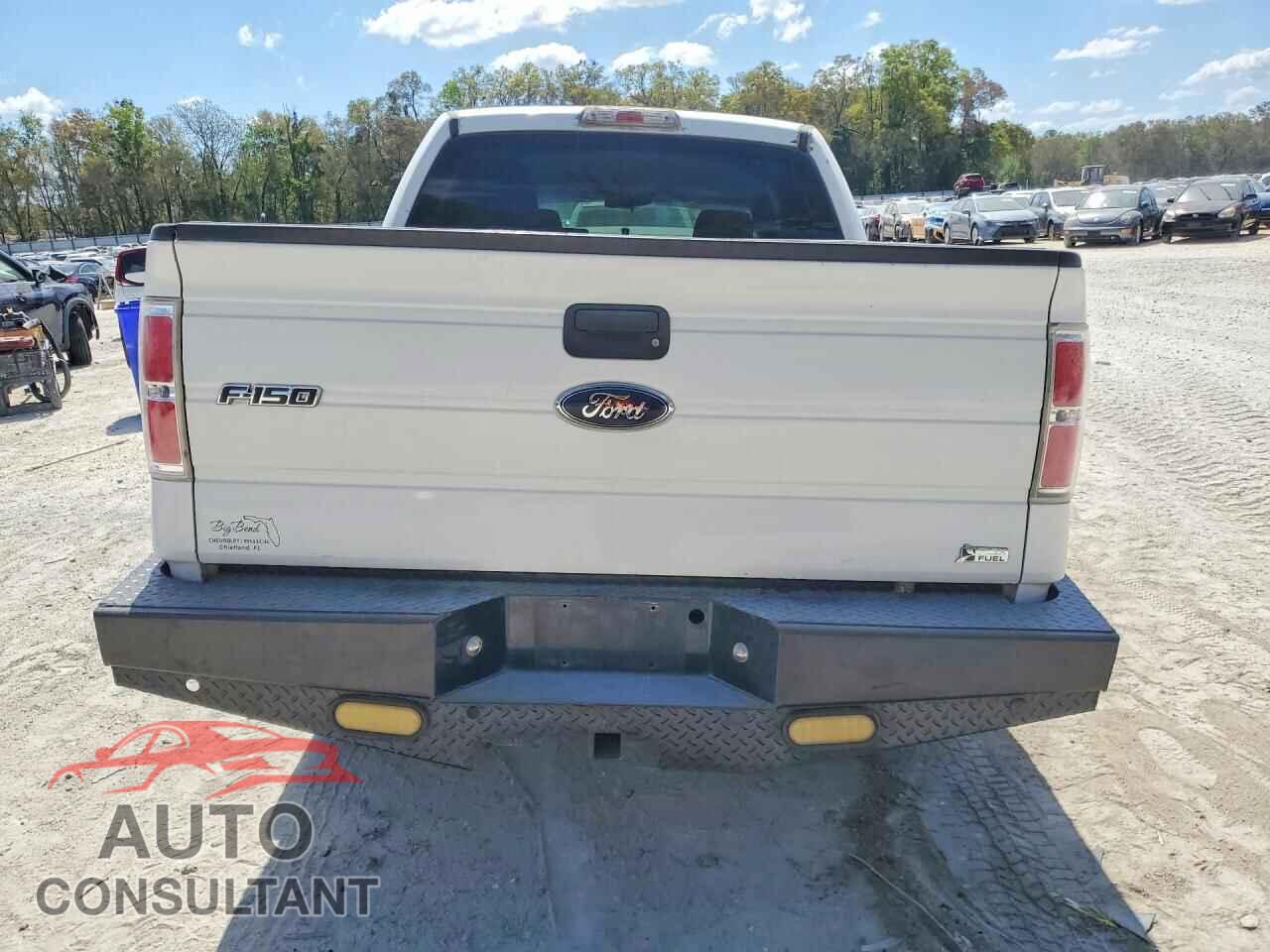 FORD F150 2010 - 1FTFW1CV3AKB36621